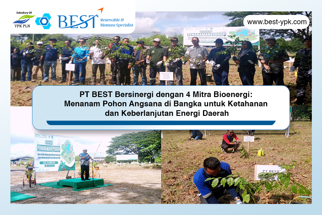 Menanam Pohon Angsana di Bangka untuk Ketahanan dan Keberlanjutan Energi Daerah